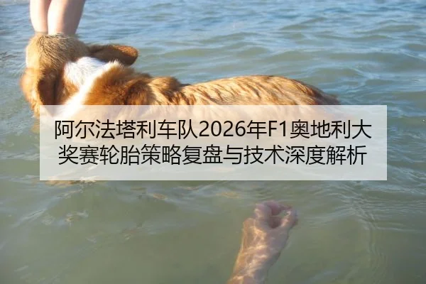 阿尔法塔利车队2026年F1奥地利大奖赛轮胎策略复盘与技术深度解析