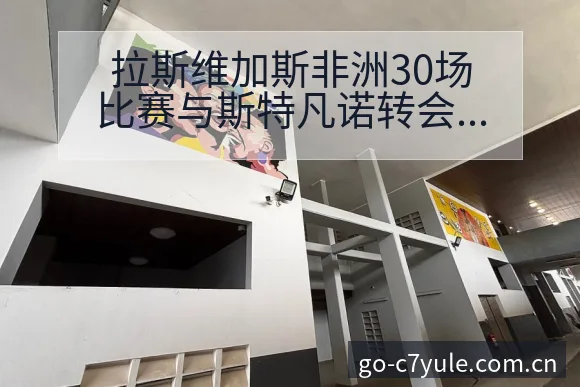 拉斯维加斯非洲30场比赛与斯特凡诺转会进展的技术特点分析 - C7娱乐官网