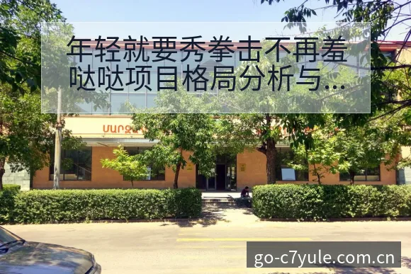 年轻就要秀拳击不再羞哒哒项目格局分析与趋势观察 - C7娱乐官网