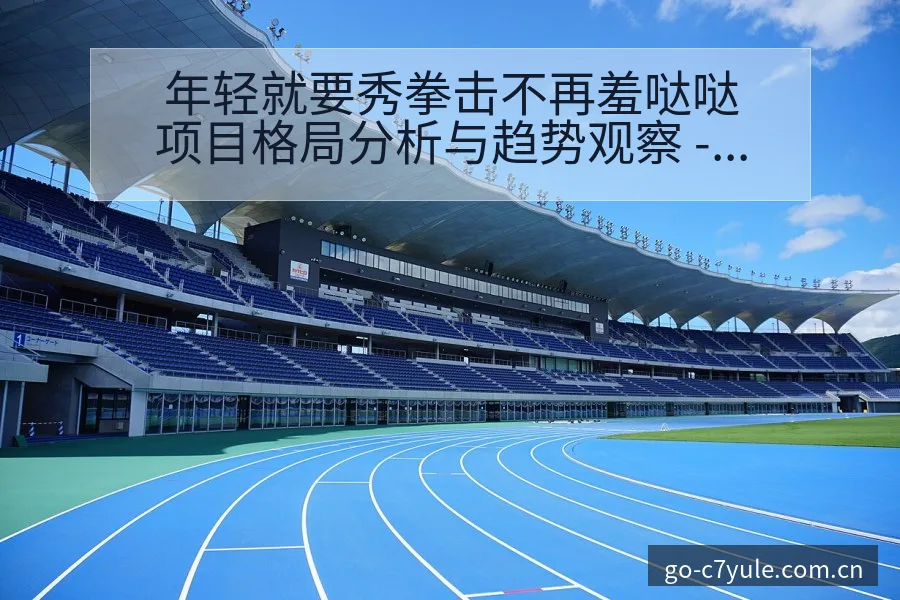 年轻就要秀拳击不再羞哒哒项目格局分析与趋势观察 - C7娱乐官网